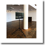 Аренда плазменной панели